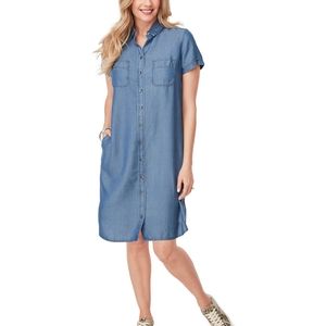 Northern Reflections denim tunic dress